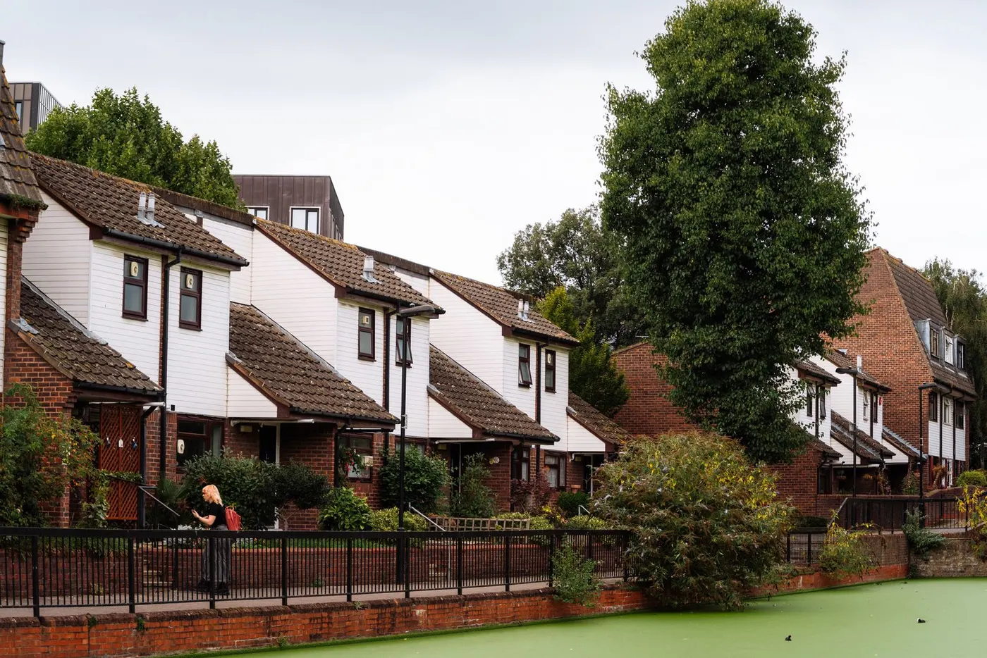 Houses beside a canal